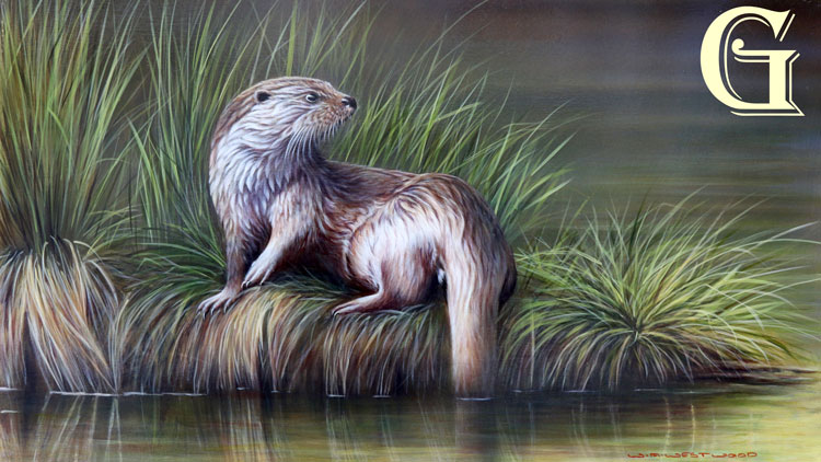 WAYNE WESTWOOD, original oil painting, OTTER